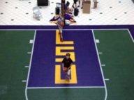 Purple, yellow, and green basketball court